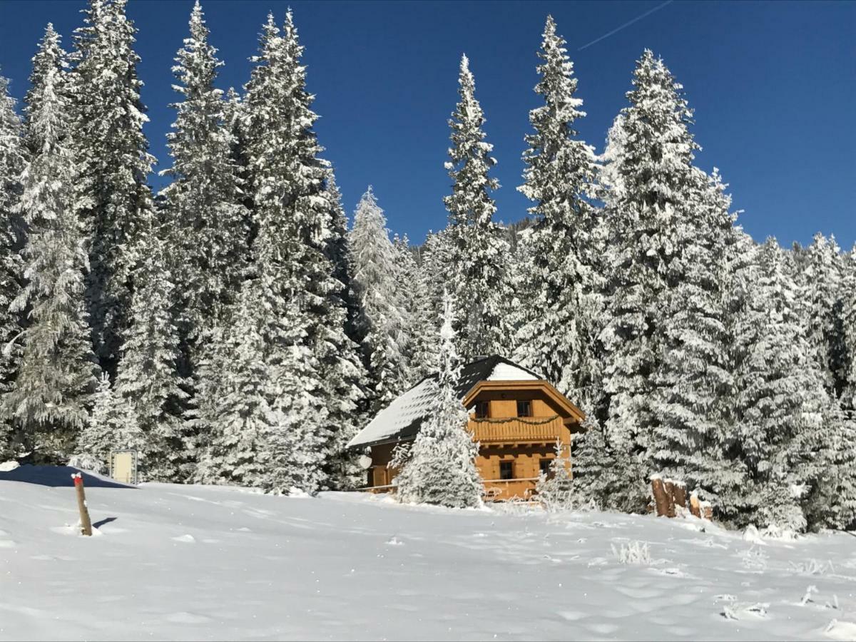 Almhaus & Almchalet Flattnitz 外观 照片